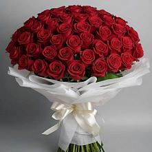 Букет 101 Красная роза Блэк Мэджик в Петровке Республика Крым