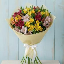Букет цветов из:  Альстромерии в Петровке Республика Крым