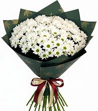 Букет цветов из:  Хризантемы #REPLACE_PRED# Петровке Республика Крым