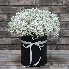 Цветочная композиция из Гипсофила в шляпной коробке в Петровке Республика Крым