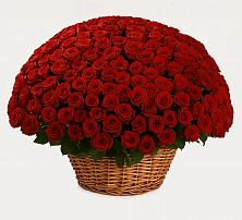 Премиум букет из: Розы в Петровке Республика Крым