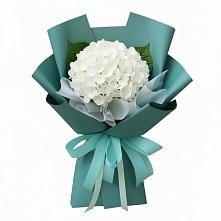 Букет цветов из:  Гортензия в Петровке Республика Крым